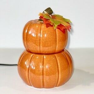 Scentsy wax warmer